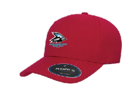 AP Flexfit Nu Adjustable Cap