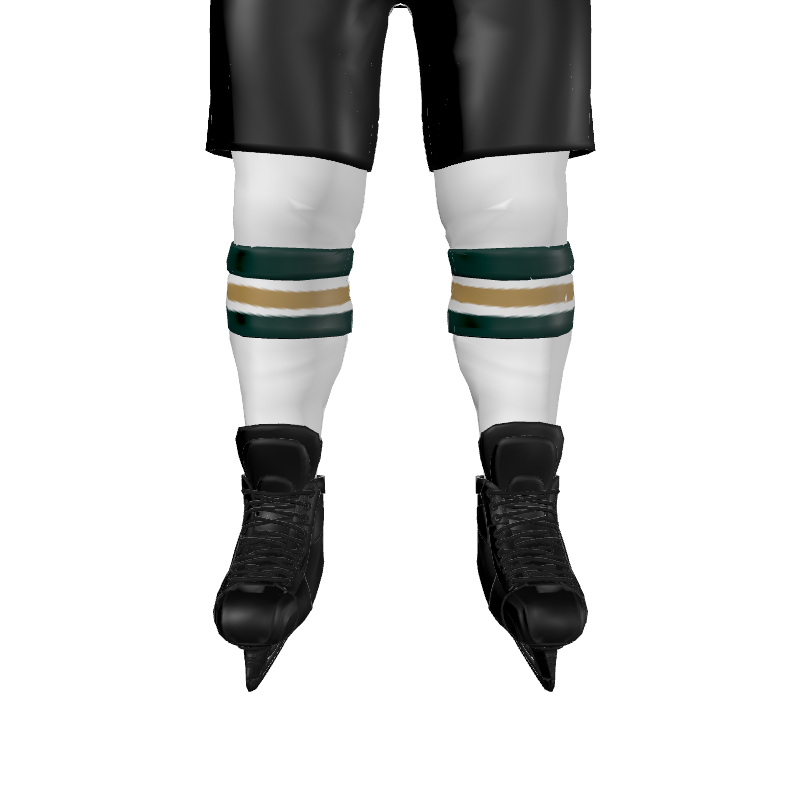 Hockey Boston Style Reversible Hockey Socks. (x 20)