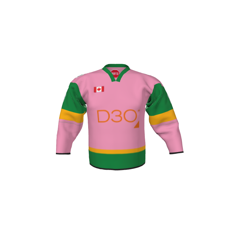Hockey Vegas Hockey Jersey - Reverse Gear. (x 2)