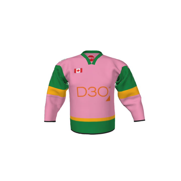 Hockey Vegas Hockey Jersey - Reverse Gear. (x 2)