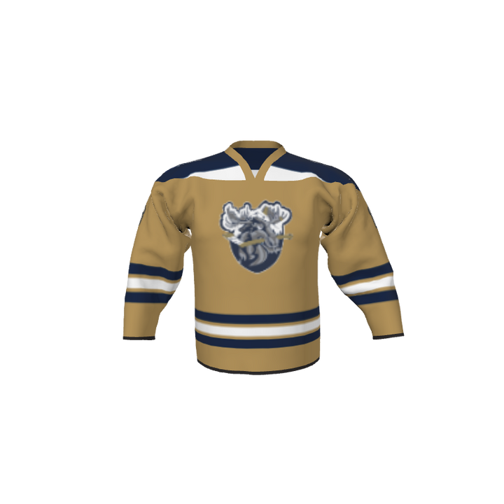 Hockey Boston Style Sublimated Hockey Jersey. (x 16)